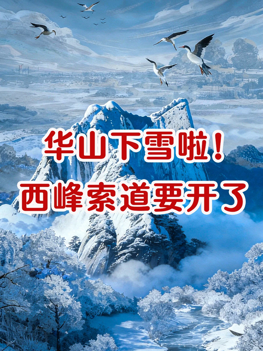 华山雪景限定回归❗️西峰索道重开!