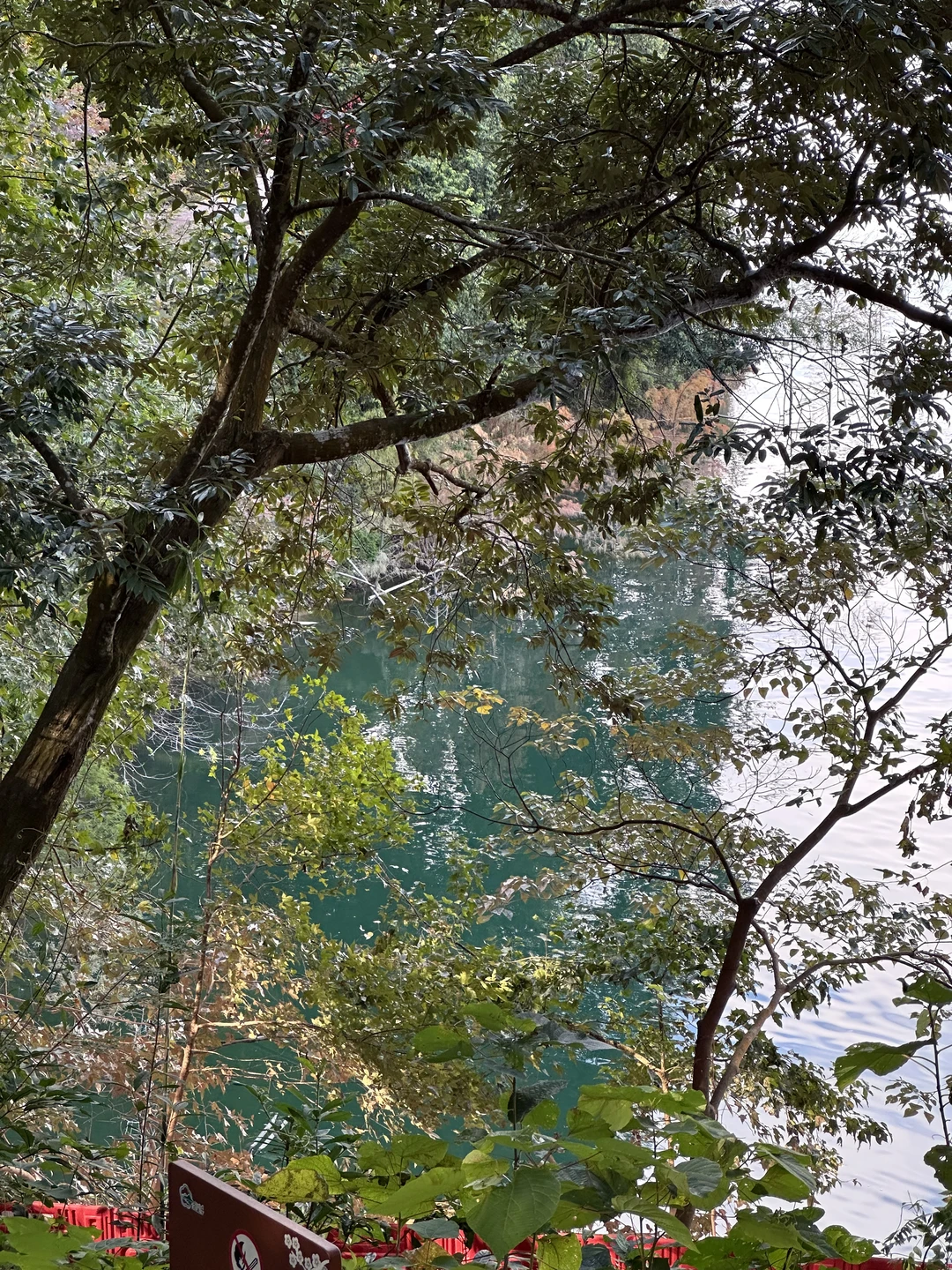 平静是最好的感知力🪵