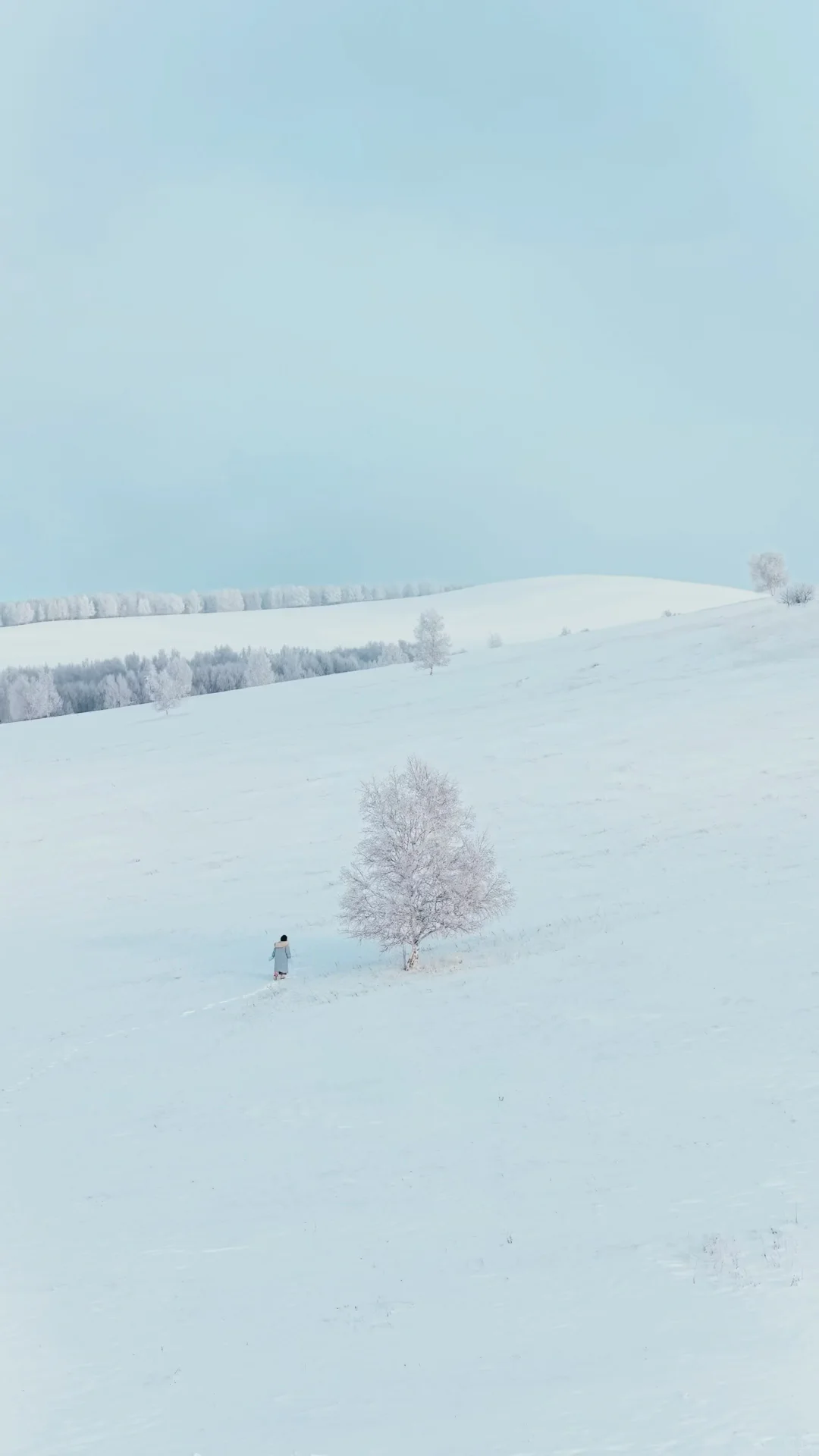 全屏live图打开此刻的内蒙!!!❄️