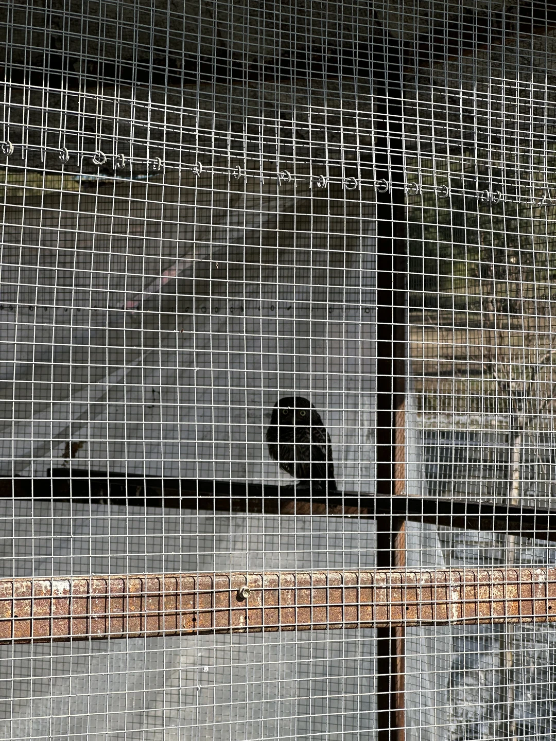 信阳周边游之老乐山