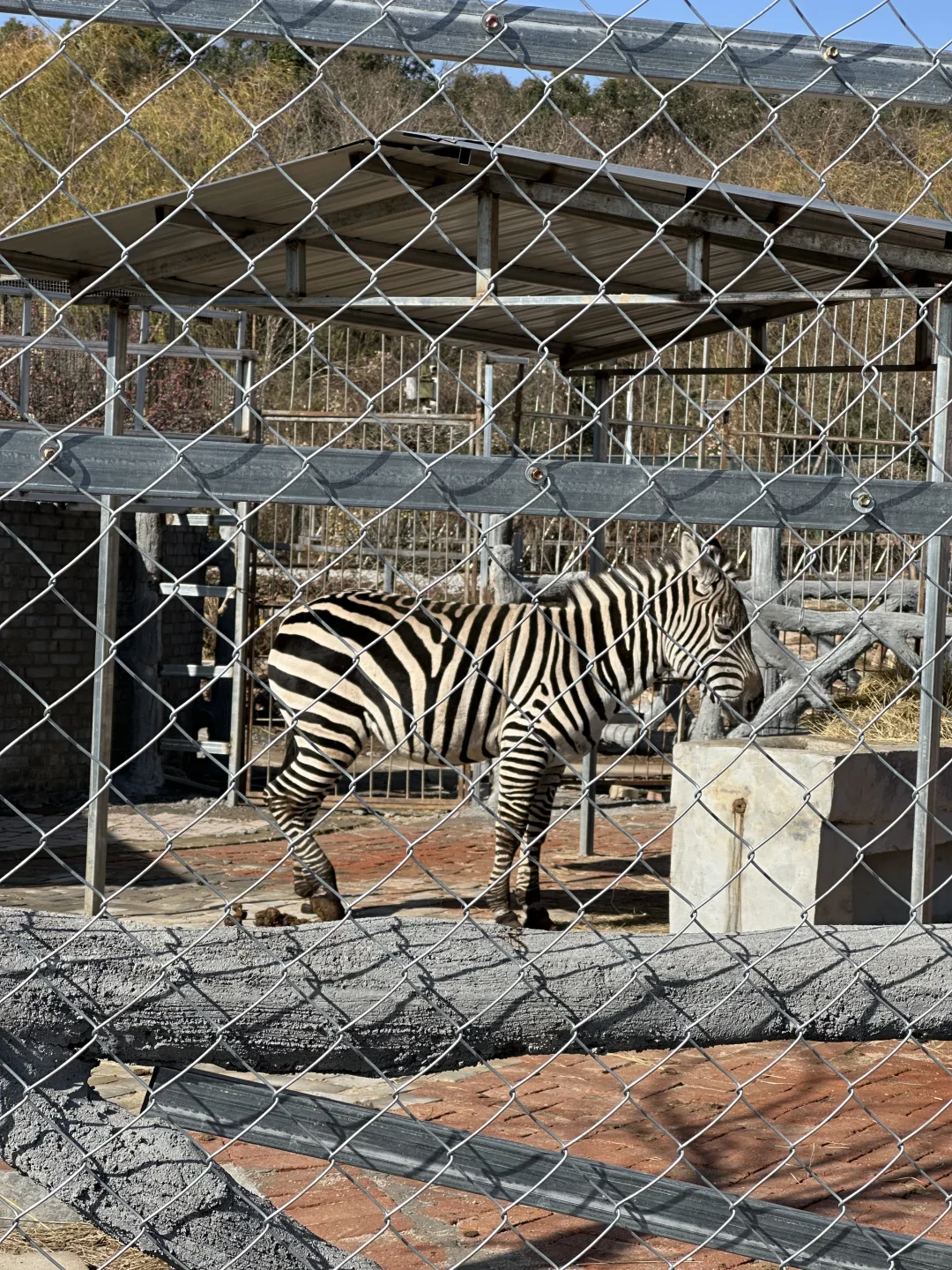 信阳周边游之老乐山