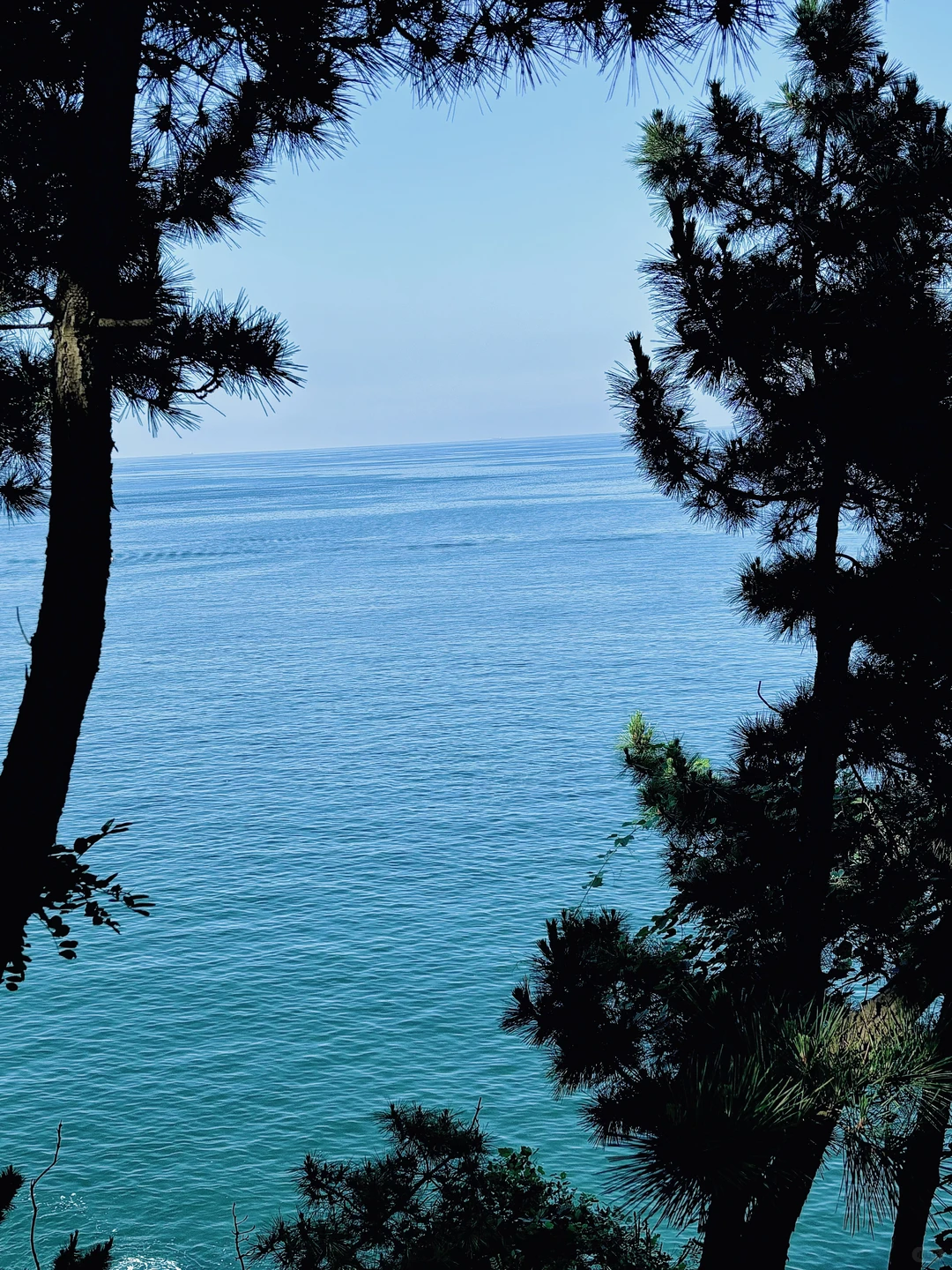 一些威海の𝙡𝙞𝙫𝙚库存🌊