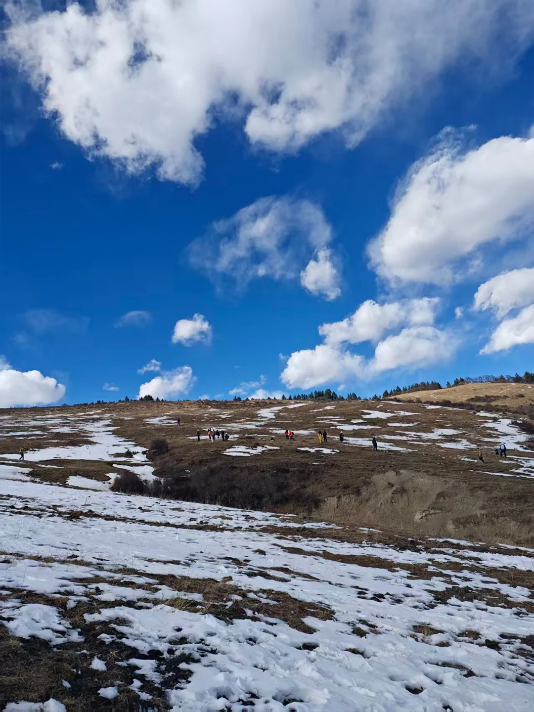 米亚罗猛古雪山📍成都出发一日游徒步💰147
