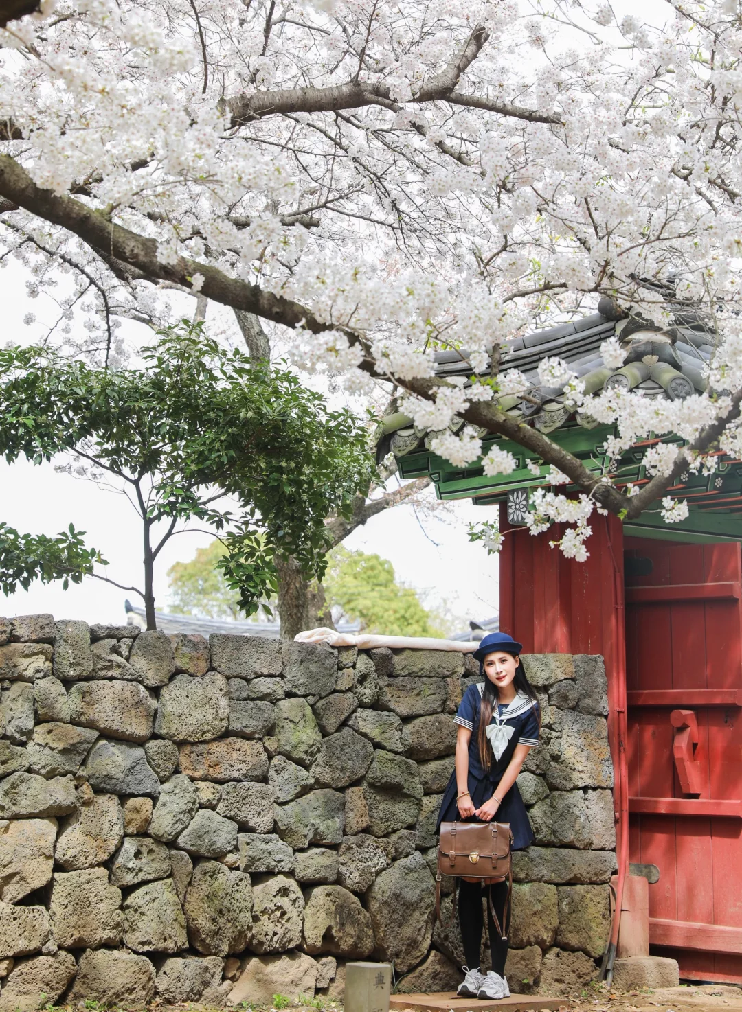 这几天的济州岛，真的是人间值得