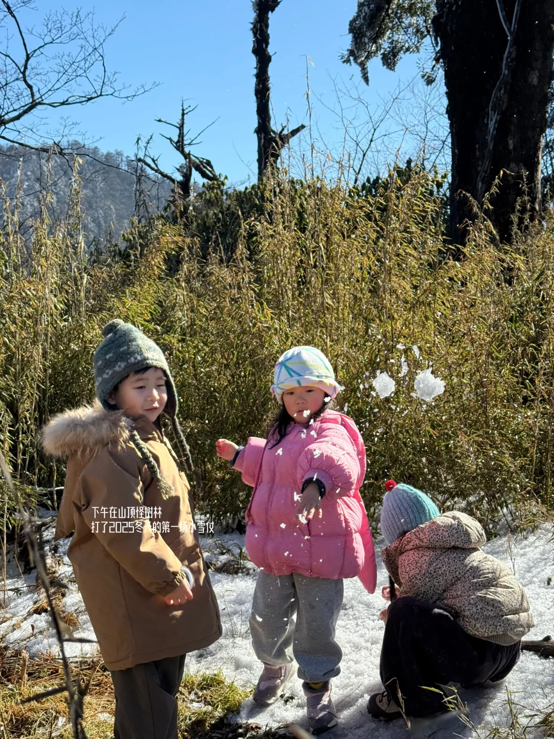 进山24h,同时拥有了贡嘎雪山🏔️与流星雨💫