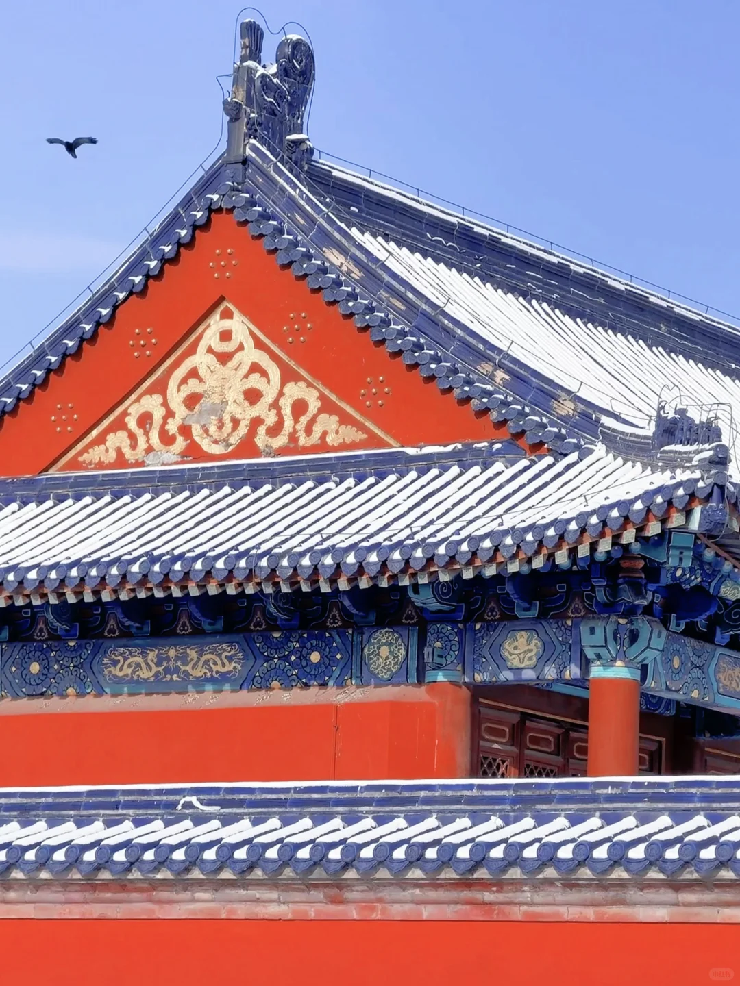 12.13📍北京天坛杀疯了啊啊啊啊啊啊啊啊