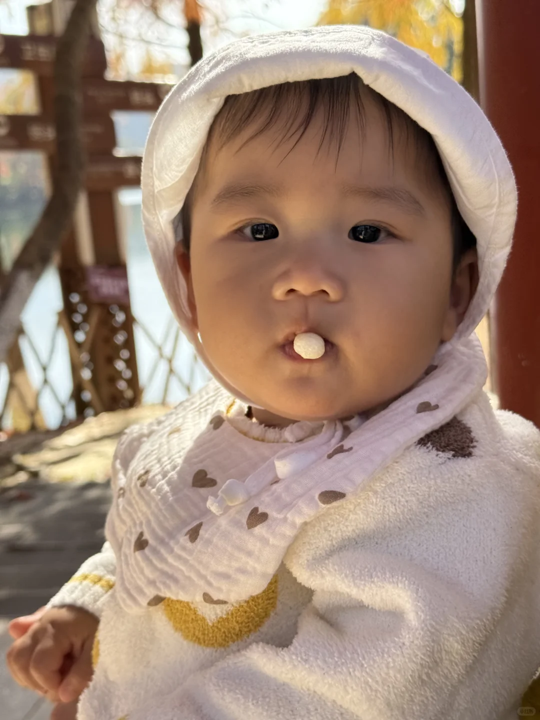 🍁赣州人的嘴真严！赣南树木园真的好美
