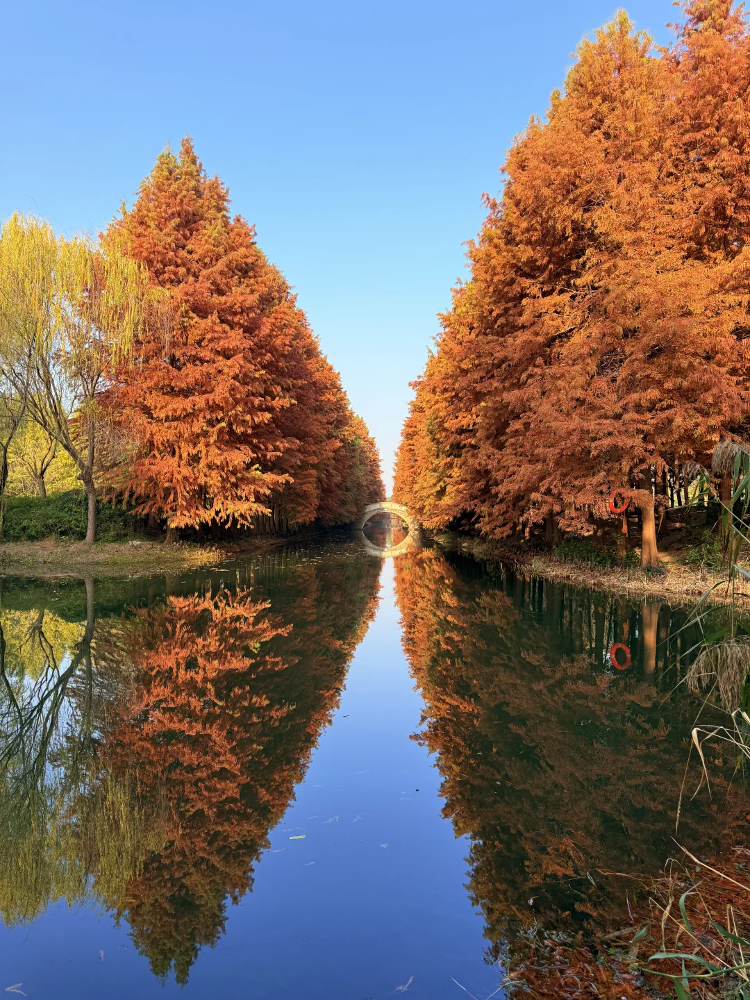 这么美的景点竟然不收费（附地图攻略）