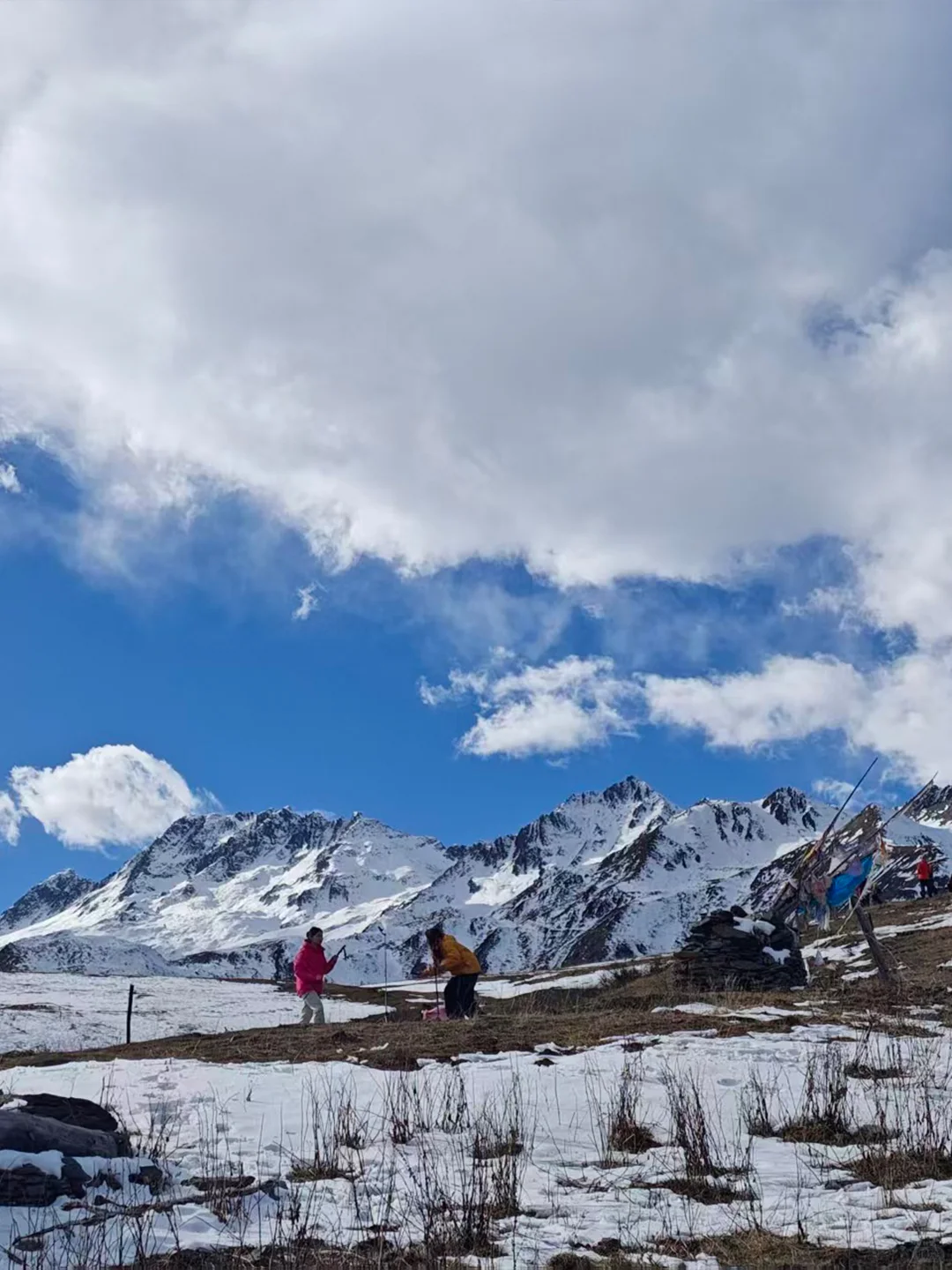 米亚罗猛古雪山📍成都出发一日游徒步💰147