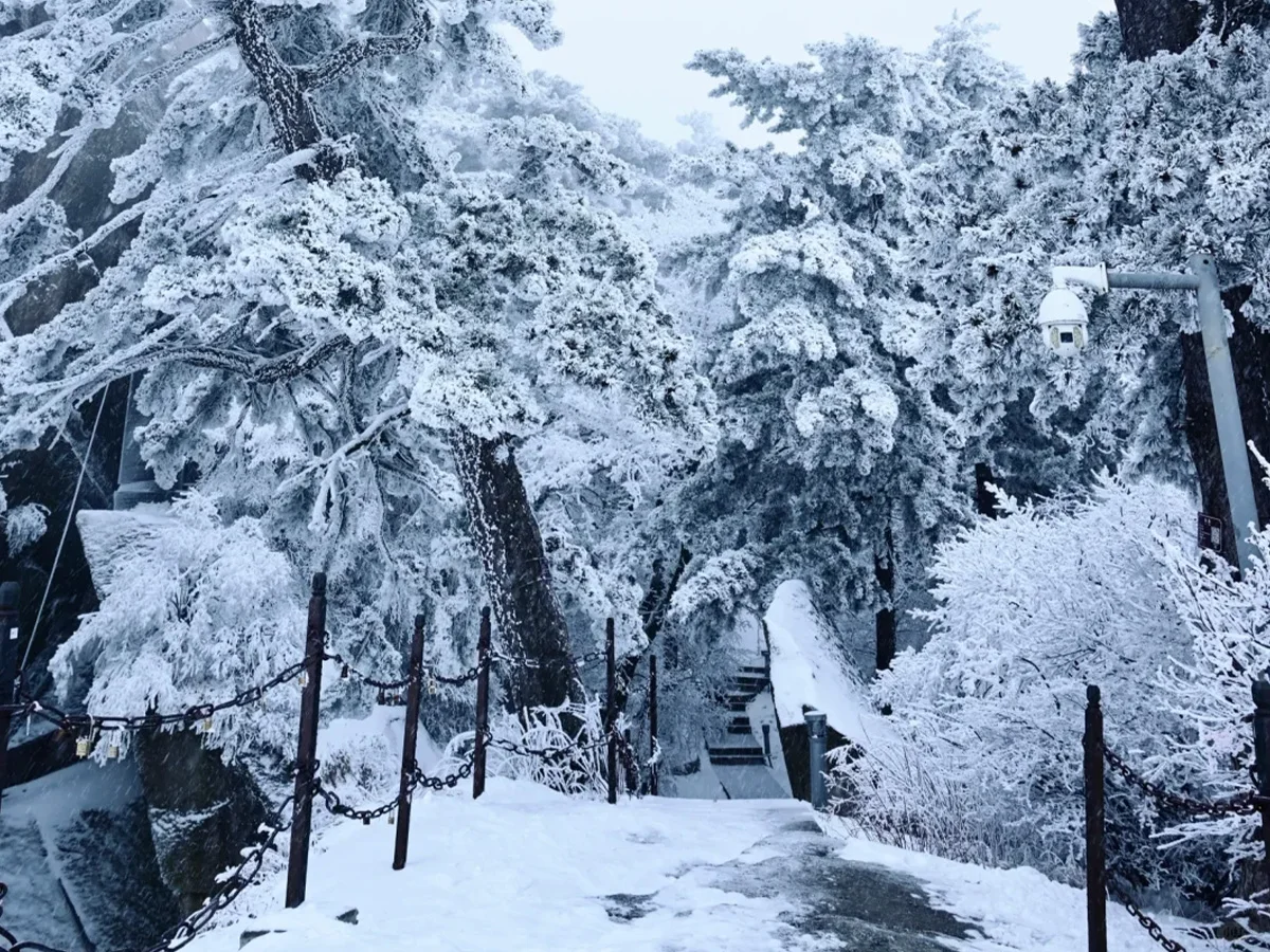 华山雪景限定回归❗️西峰索道重开!