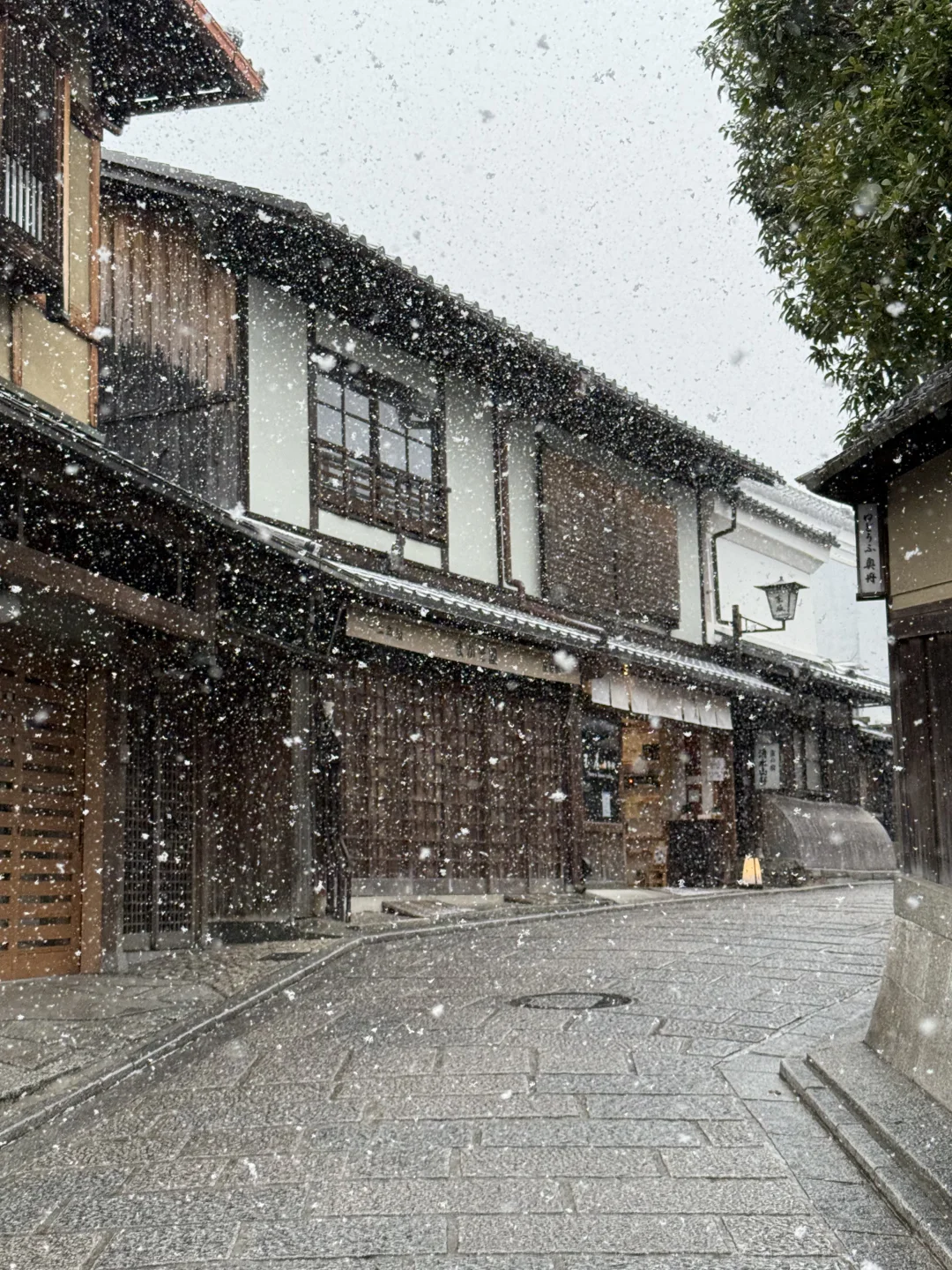 以为京都很美了