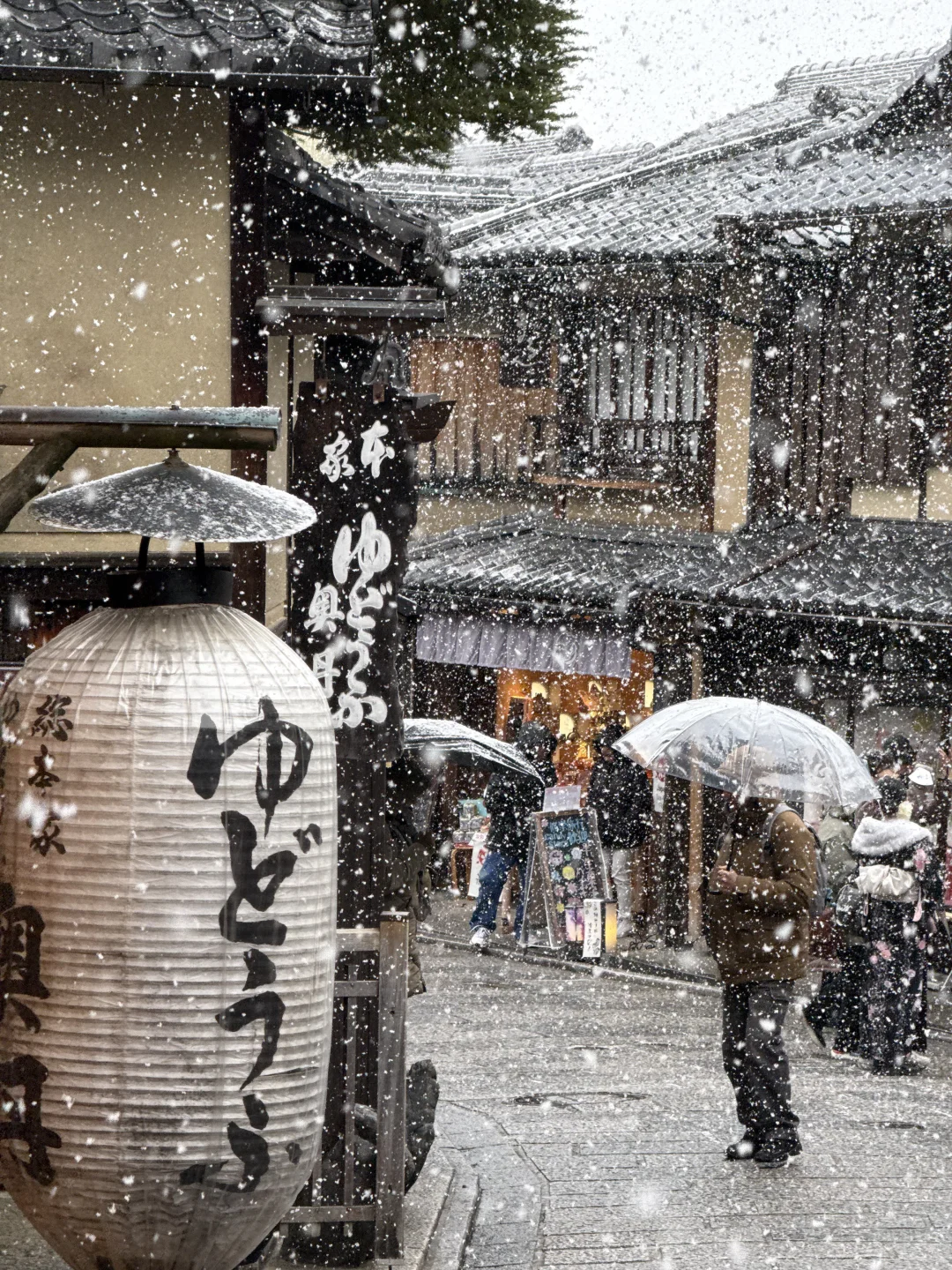 以为京都很美了