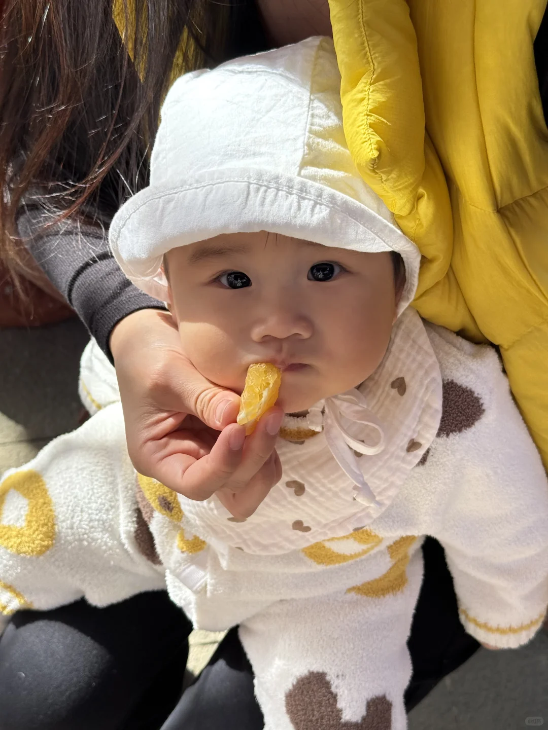 🍁赣州人的嘴真严！赣南树木园真的好美