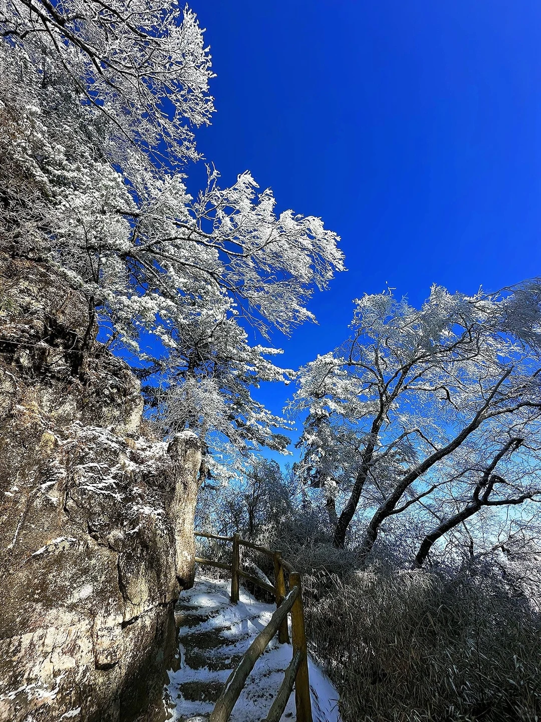12.14📍累惨😭去莽山真心不建议去西门