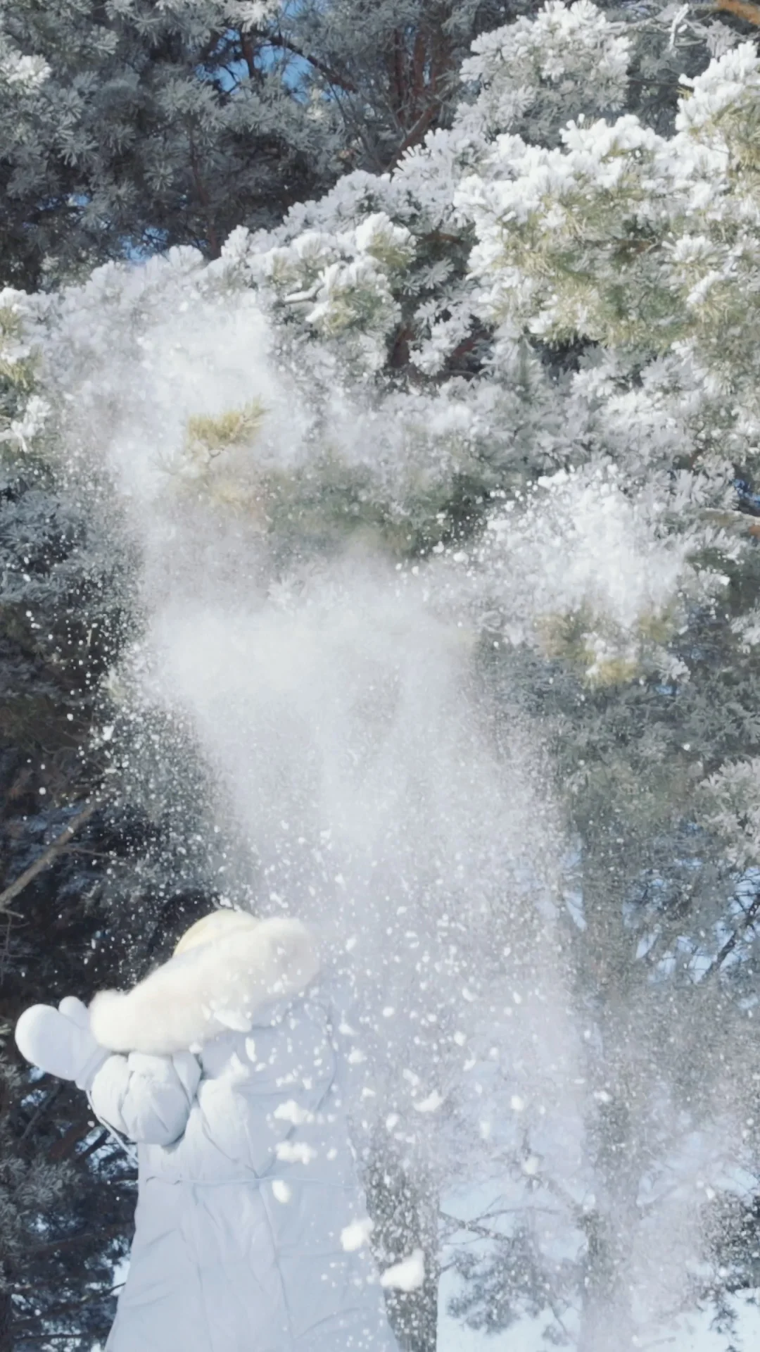 全屏live图打开此刻的内蒙!!!❄️