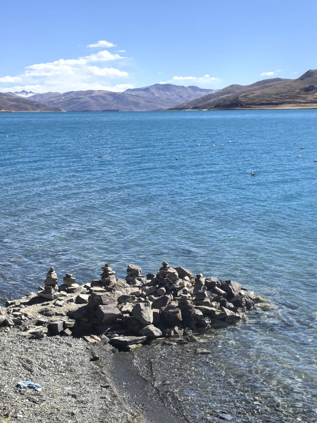 202512冬游西藏-D3-羊卓雍措&乃钦康桑雪山