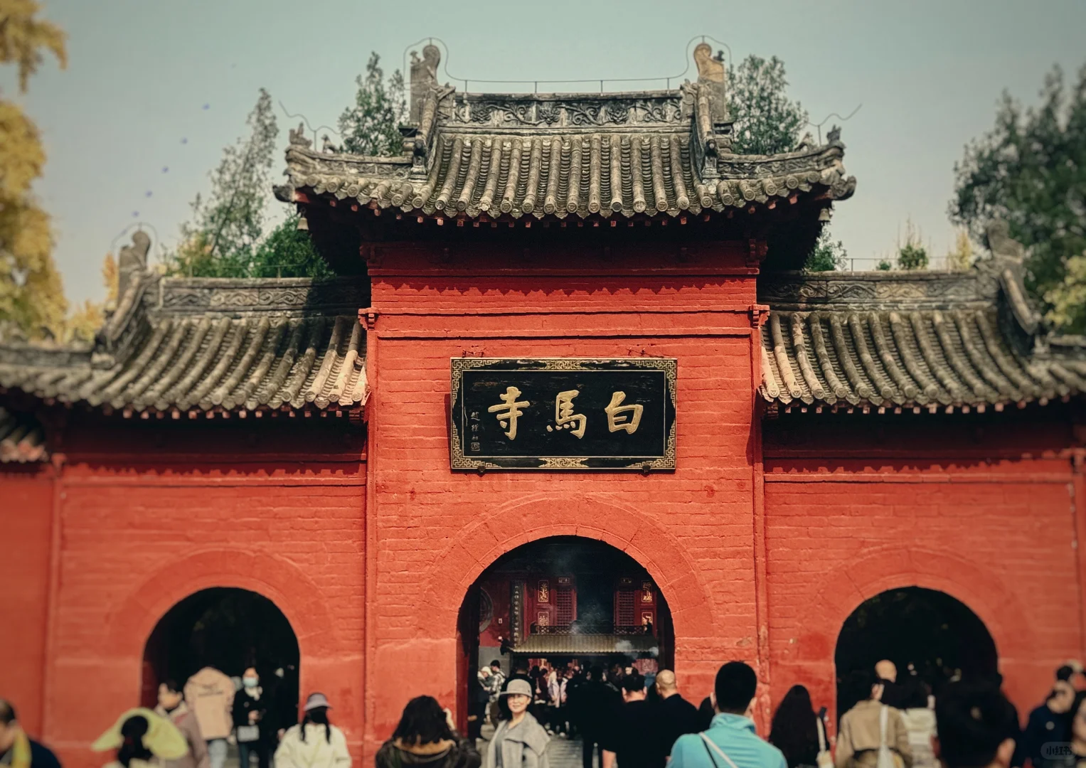 龙门石窟的尽头是自由和自在