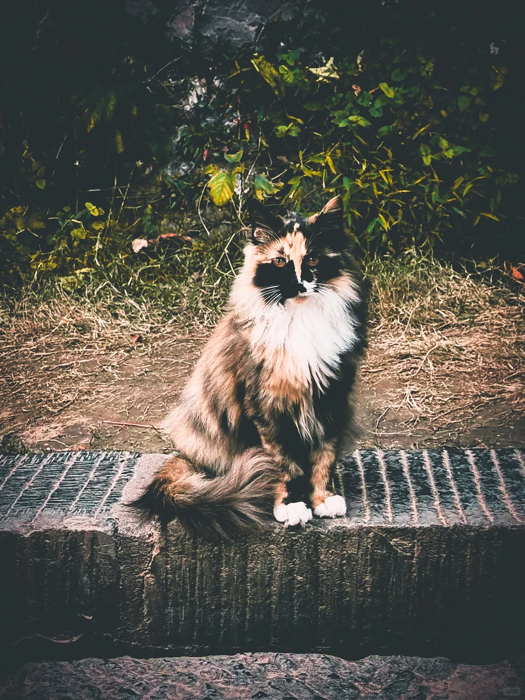 龙门石窟的尽头是自由和自在