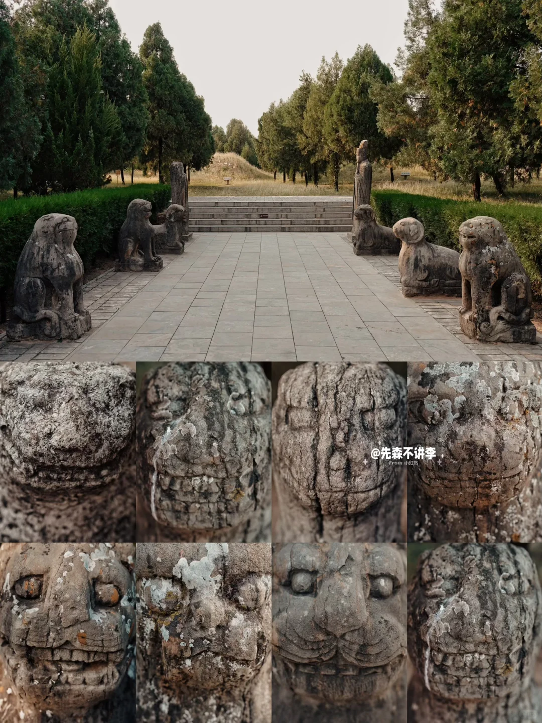 探墓｜原来司马家也是有好人的‼️