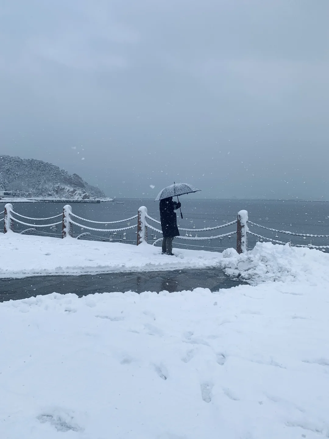 12.3威海实况，雪后的天鹅湖美得像童话❄️