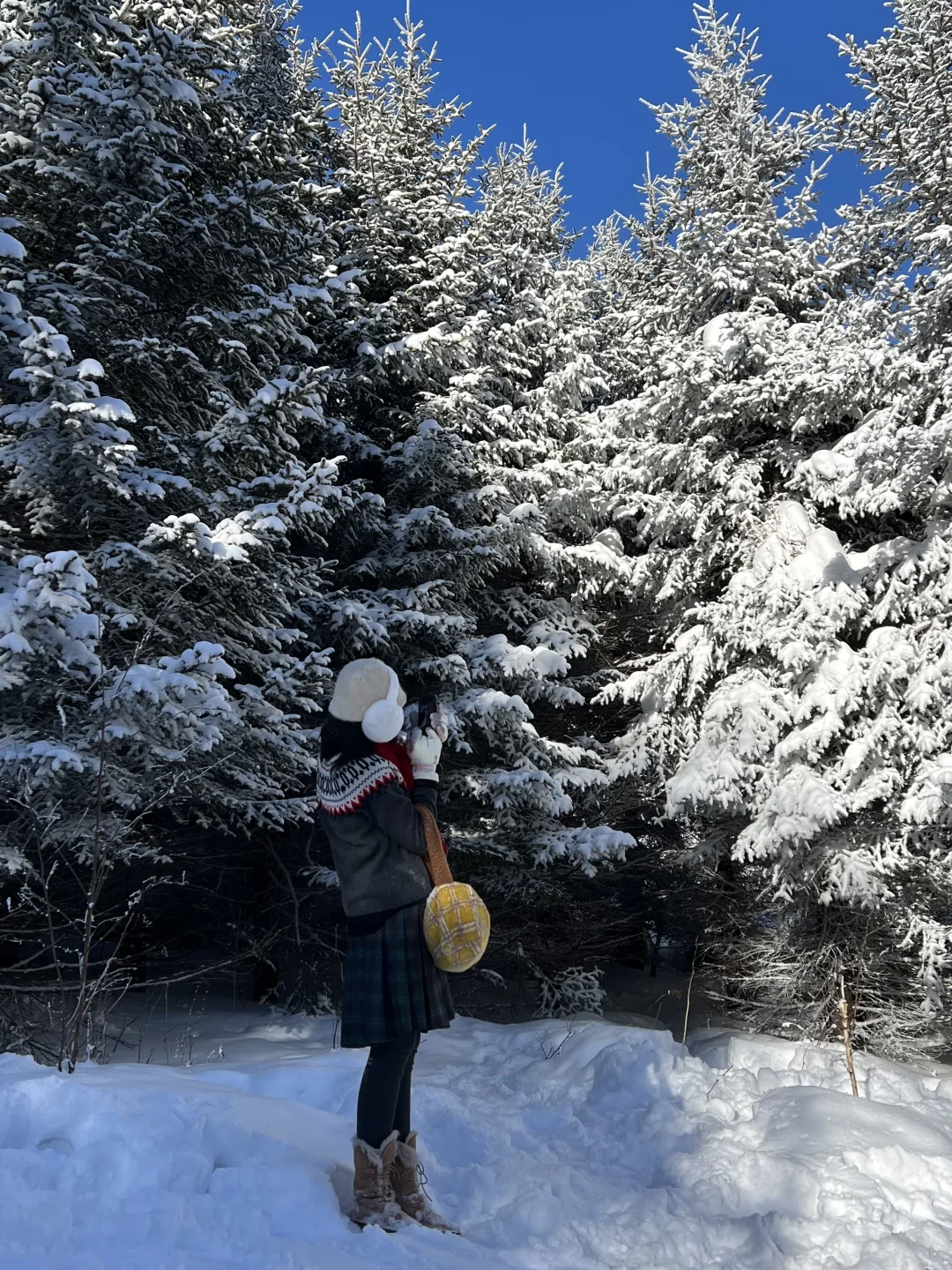 来雪岭玩千万别坐雪地摩托和马拉爬犁!!