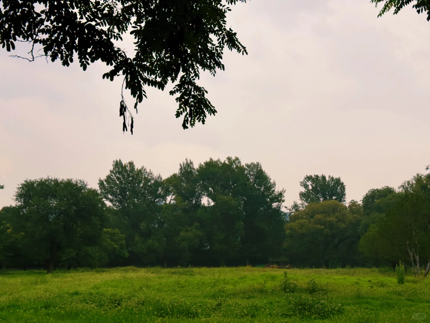 🌿 避暑山庄｜穿越300年，赴一场皇家避暑之约