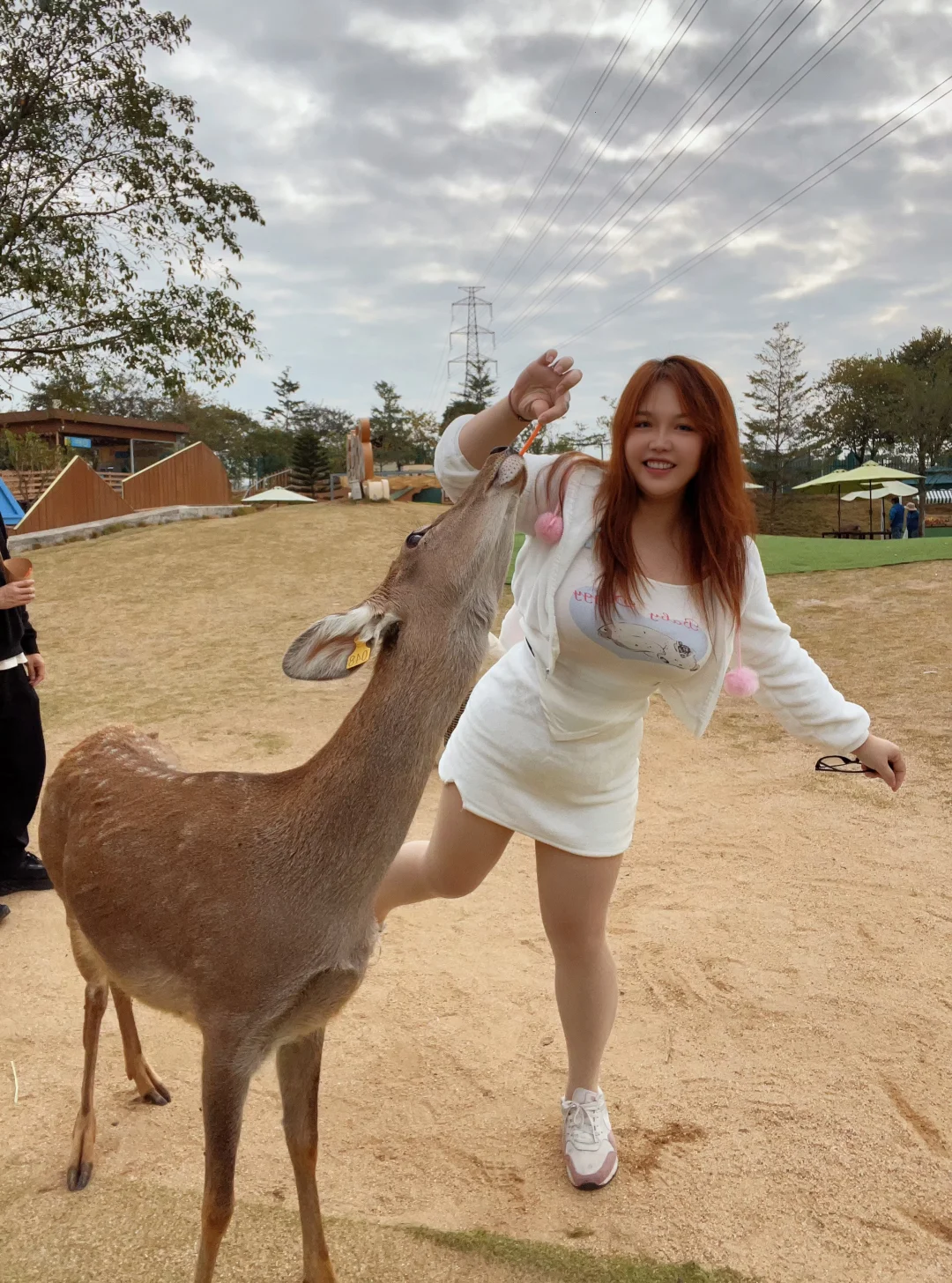 小胖兔来心动乐园啦！这也太有圣诞氛围了啊