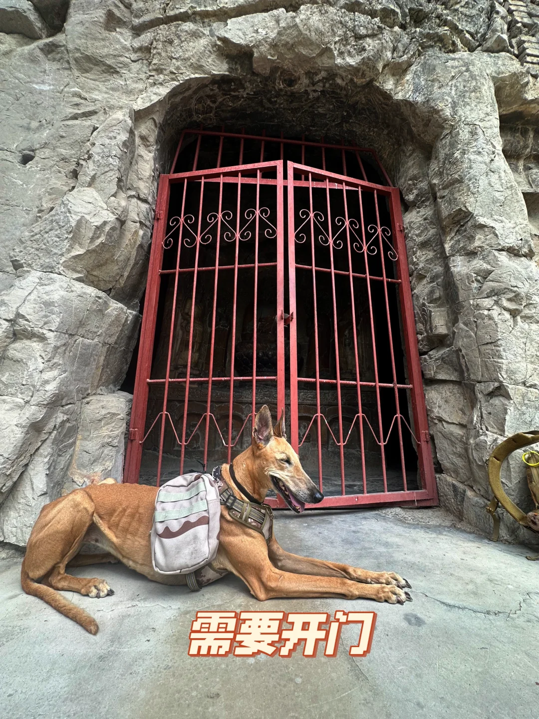 水浴寺 石窟造像 僧众礼佛图