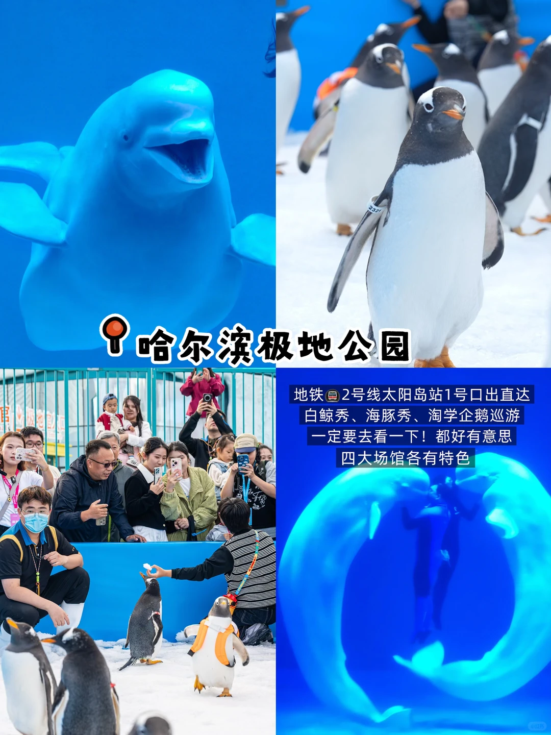 人均500💰哈尔滨3天2晚❄️自由行攻略（详细版