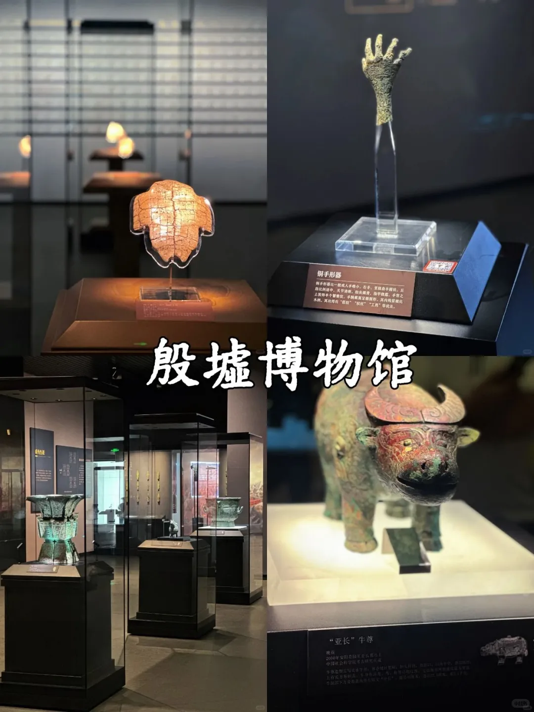 谁懂啊!河南冬天这 9 个地方直接冲