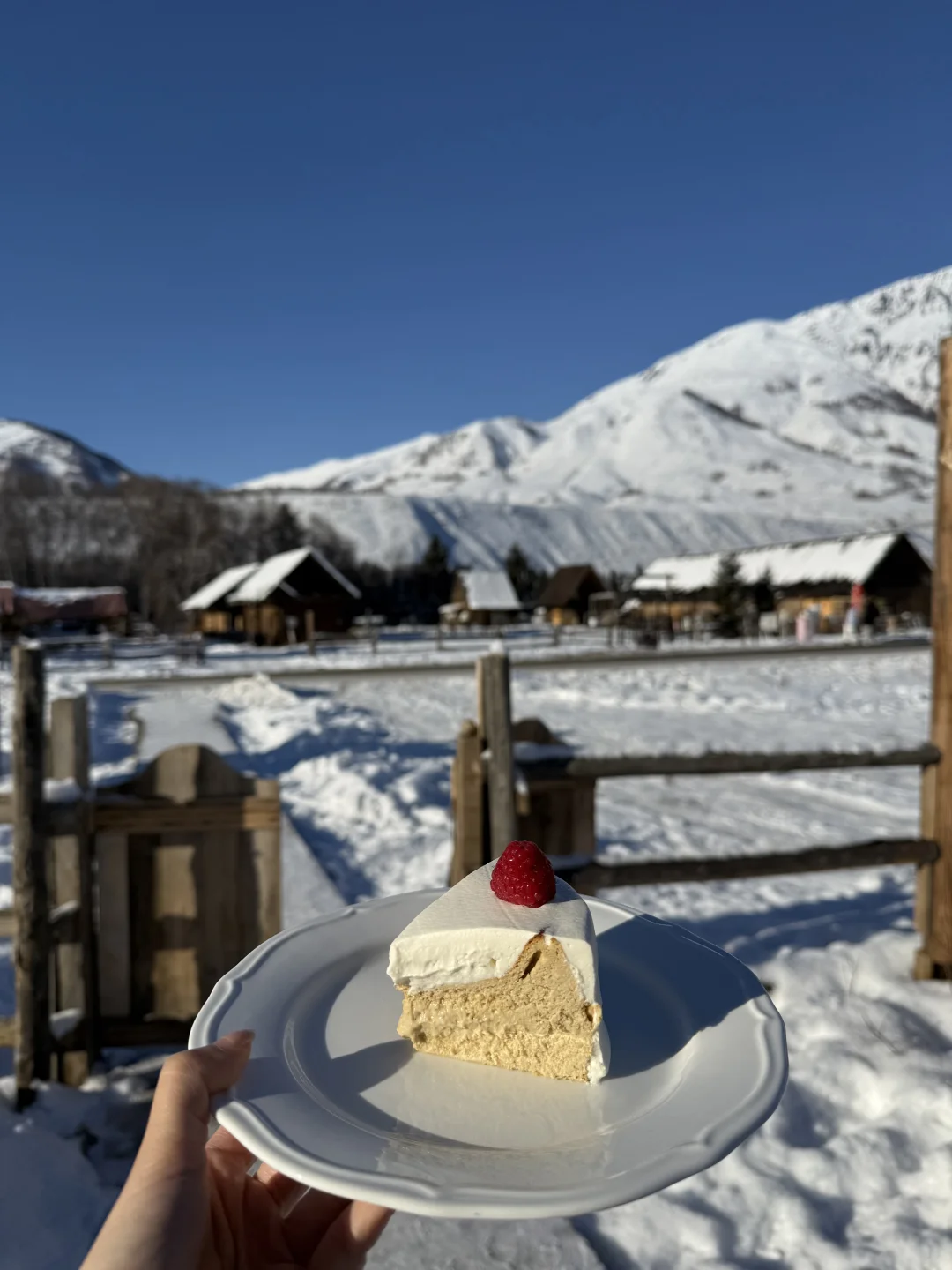 阿勒泰四天三晚旅行攻略 | 禾木&白哈巴☃️