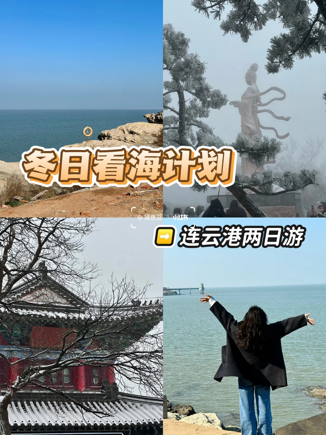 12🈷️！冬天的连云港！怎么玩！怎么吃！