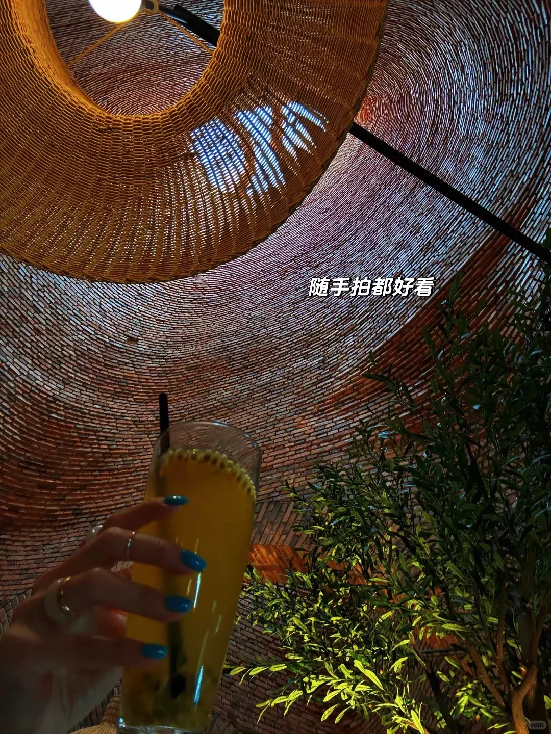 放弃大理了,带爸妈去21°C的弥勒过暖冬☀️