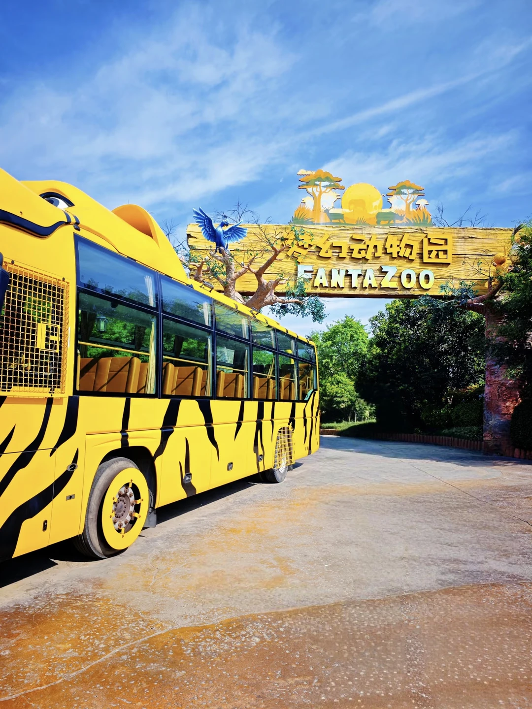 银基动物王国会惩罚每一个背包的人……