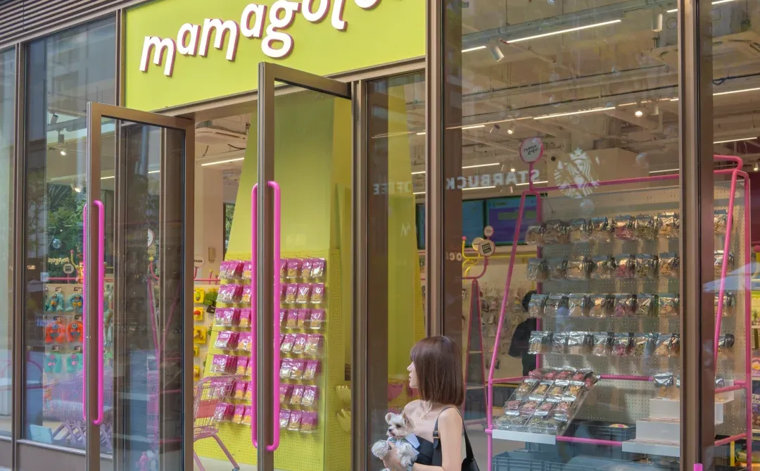 比起西湖🍃我更爱杭州钱塘江夜游citywalk❤️