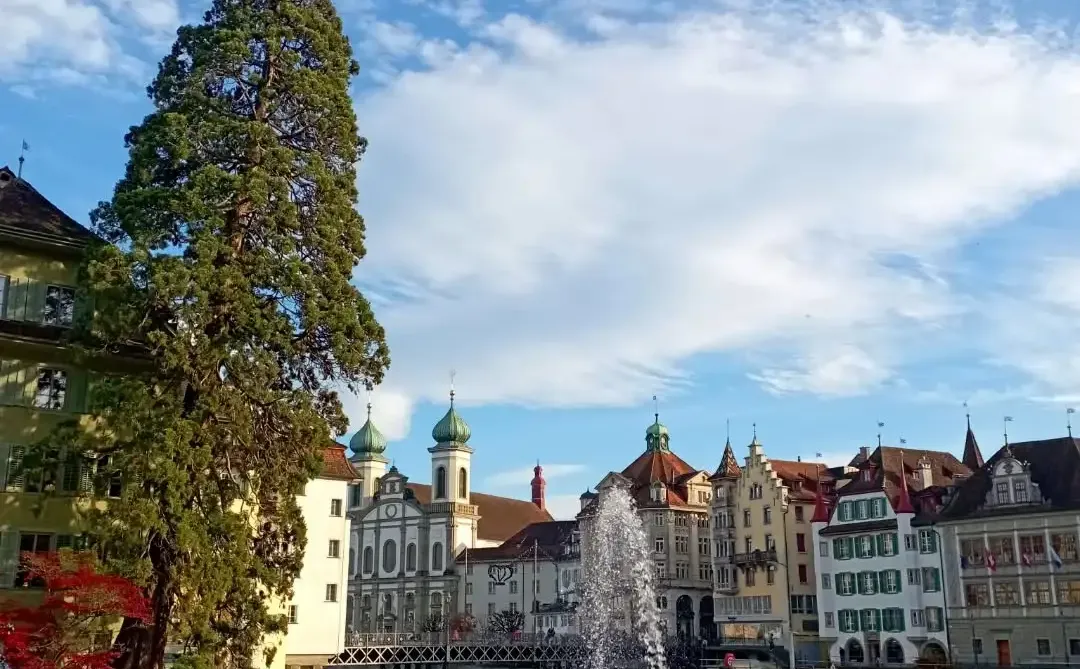 听xhs劝了,去法意瑞报了团后续(永不删)