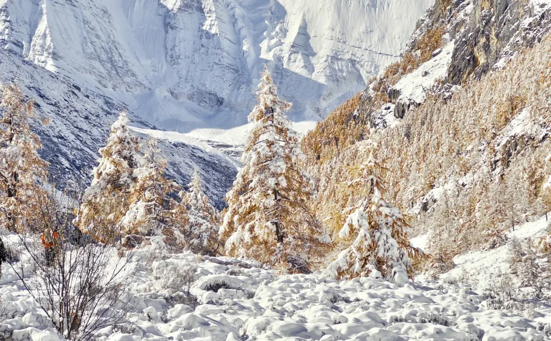 在稻城亚丁，看到了中国最壮丽的秋天和冬天