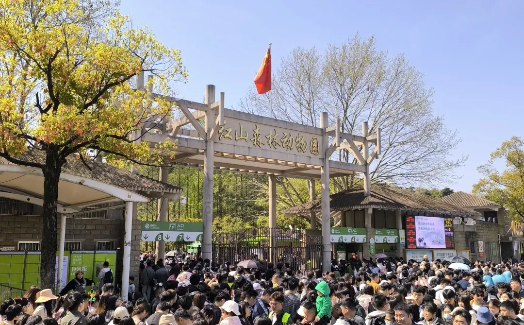 💥南京免费玩一年！但是景区竟然缩水啦～