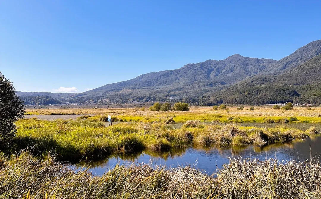 我们都喜欢玩不一样的地形 | 腾冲北海湿地