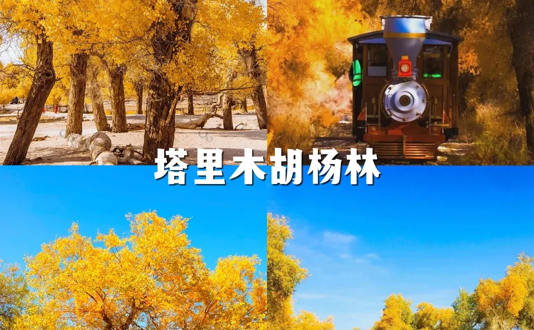 新疆必去的12大景点，都去过才算圆满🔥