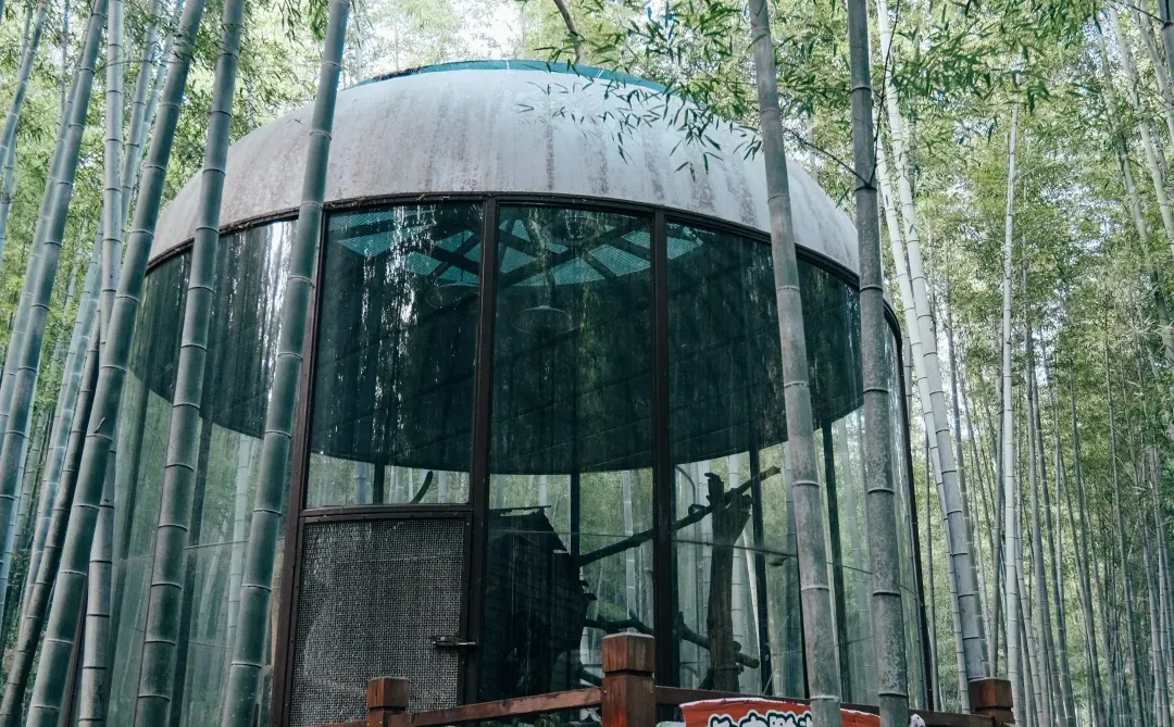 溧阳景点打卡全攻略｜2-3 天玩转山水竹海