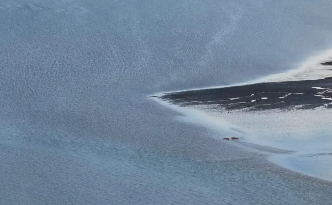 迄今为止 ，山东我最喜欢的小城出现了！！！