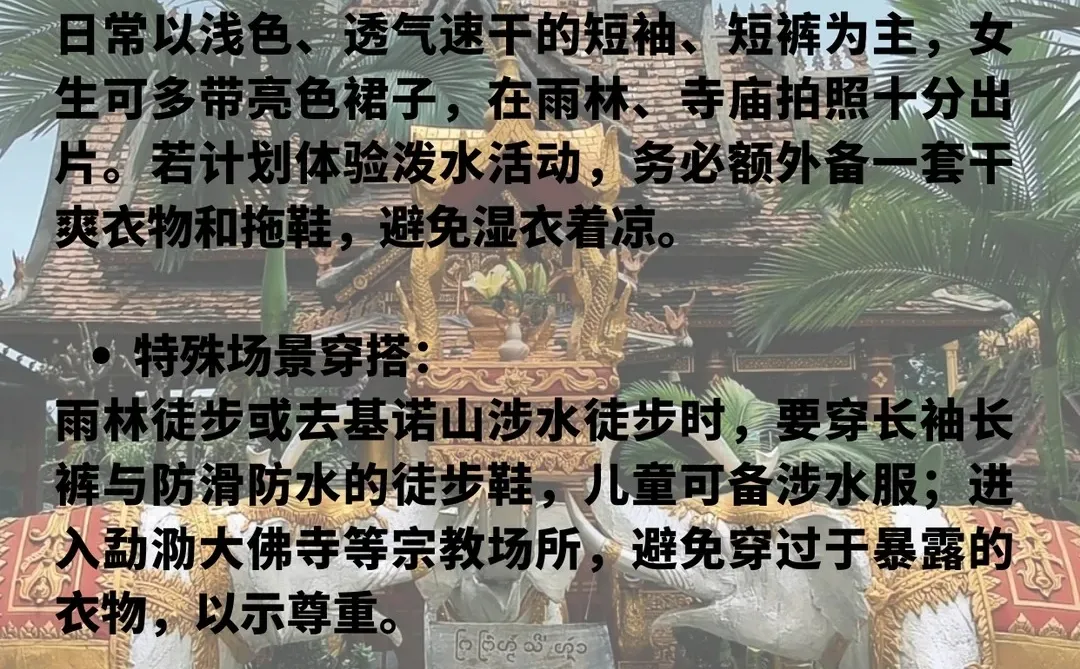 版纳这9个景点必打卡🔥第一来直接玩✨