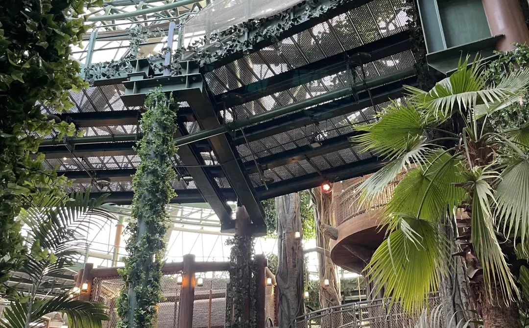 12.14北环新鲜最强玩后感