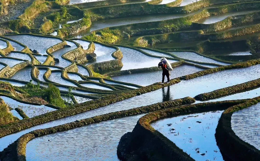 放弃大理了，带爸妈去21°C的弥勒过暖冬☀️