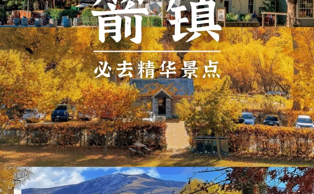 新西兰南岛8天保姆级攻略❗照着玩不绕路✨