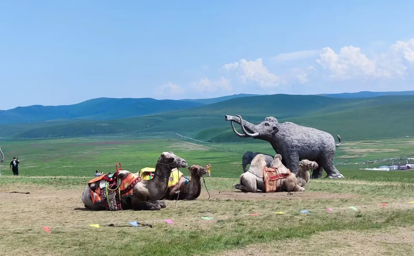 漠河到满洲里旅游攻略必玩的景点选择服务完