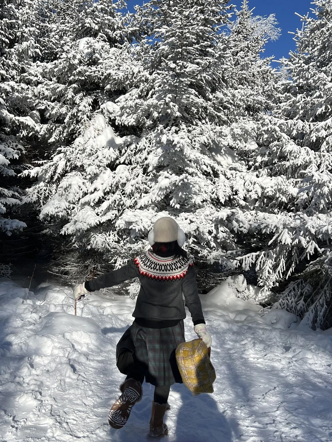 来雪岭玩千万别坐雪地摩托和马拉爬犁!!