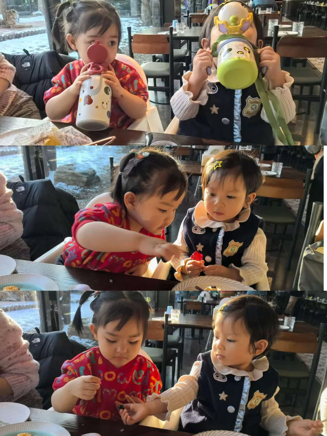 二刷虎乐园,娃玩到天黑不肯回家