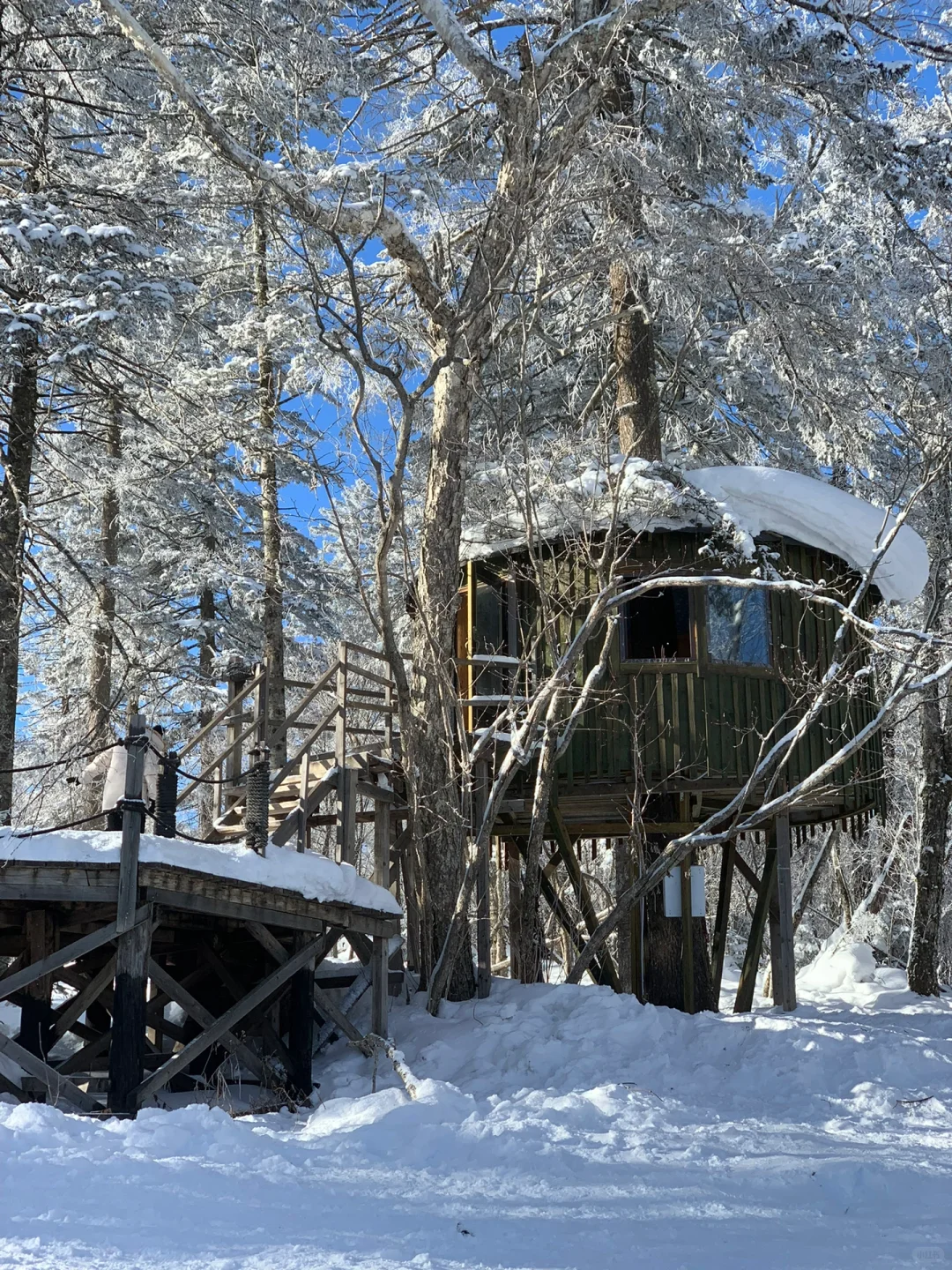来雪岭玩千万别坐雪地摩托和马拉爬犁!!